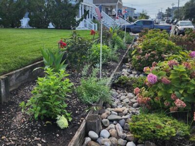 Flower Beds